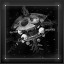 I Can See Forever icon