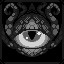 In the Mirror icon